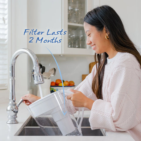 Santevia MINA Fluoride Filter - YesWellness.com