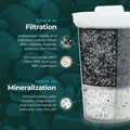 Santevia MINA Fluoride Filter - YesWellness.com