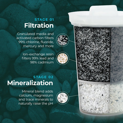 Santevia MINA Fluoride Filter - YesWellness.com