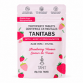 TANIT Strawberry Toothpaste Tablets 124 Count 45g - Yeswellness.com
