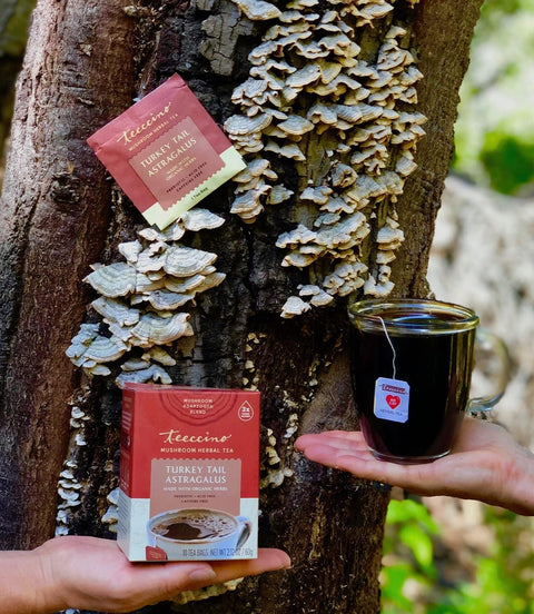 Teeccino Turkey Tail Astragalus Mushroom Herbal Tea - Healthy Lifestyle