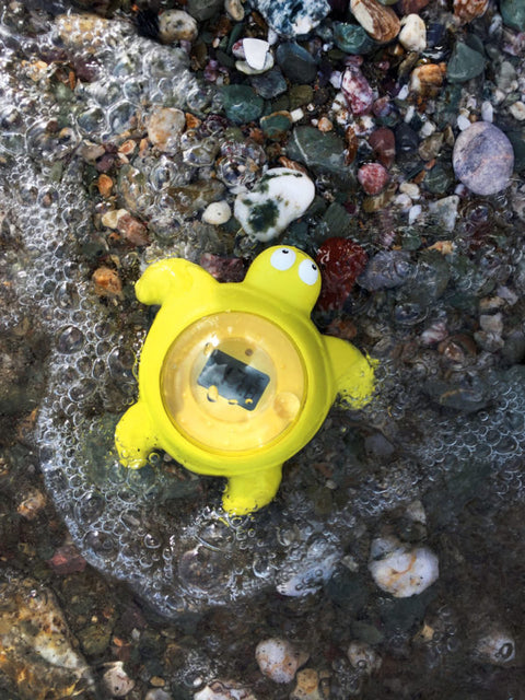 TensCare Tortoo Turtle Bath Thermometer