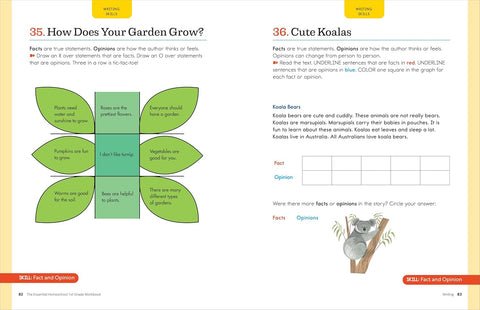 The Essential Homeschool 1st Grade Workbook