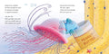 The Pout-Pout Fish by Deborah Diesen