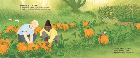 The Pumpkin Seed's Secret