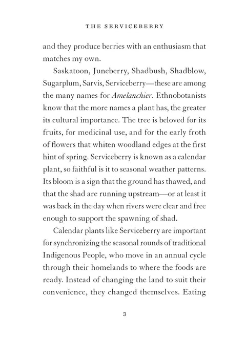 The Serviceberry: Abundance and Reciprocity in the Natural World by Robin Wall Kimmerer