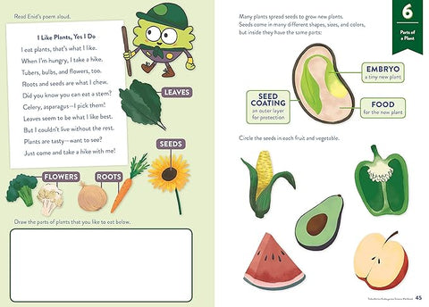 TinkerActive Workbooks: Kindergarten Science