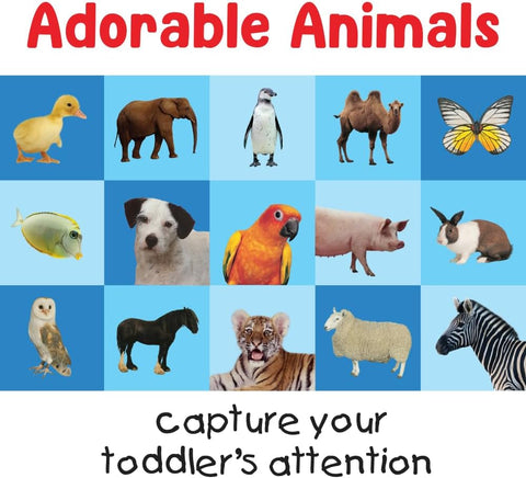 University Games Briarpatch First 100 Animals Hatching Card Game