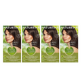 Naturtint Permanent Hair Colour Ammonia Free 4N Natural Chesnut 4-Pack
