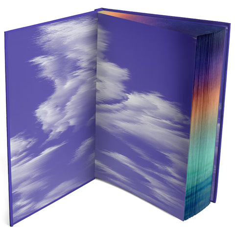 We Fell Apart: A We Were Liars Novel by E. Lockhart at Yeswellness.com