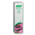A. Vogel Echinacea Toothpaste 100 grams - YesWellness.com