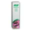 Expires June 2026 Clearance A. Vogel Echinacea Toothpaste 100g