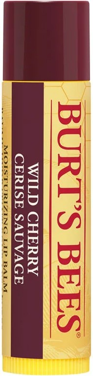 Burt's Bees Moisturizing Lip Balm