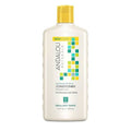 Andalou Naturals Brilliant Shine Sunflower & Citrus Conditioner 340 ml - YesWellness.com
