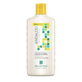 Andalou Naturals Brilliant Shine Sunflower & Citrus Conditioner 340 ml - YesWellness.com
