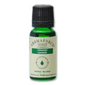 Aromaforce Essential Oils Cinnamon 15 ml - YesWellness.com