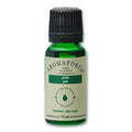 Aromaforce Essential Oils Pine 15 ml - YesWellness.com