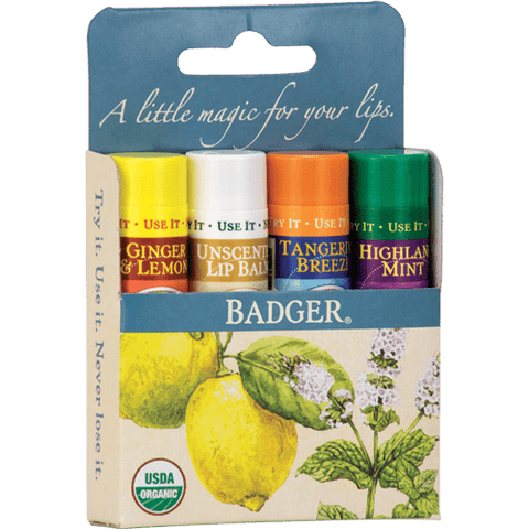Badger Balms Classic Lip Balm Sticks Pack 4 x 4.2g (Gold Box) - YesWellness.com