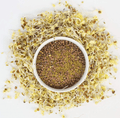 Cultures For Health Deli Sandwich Sprouting Seed Blend - 226g - YesWellness.com