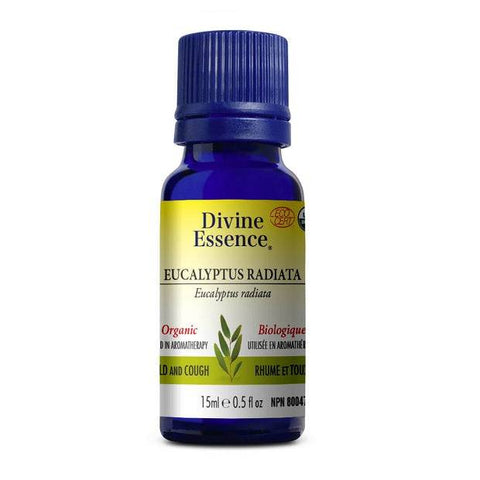 Divine Essence Eucalyptus Radiata Organic Oil - YesWellness.com