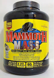 Mammoth Mass
