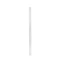 Enviro Glass Straw Smoothie Straight 12mm Diameter - YesWellness.com