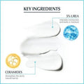 Eucerin Complete Repair Moisturizing Cream - Key Ingredients