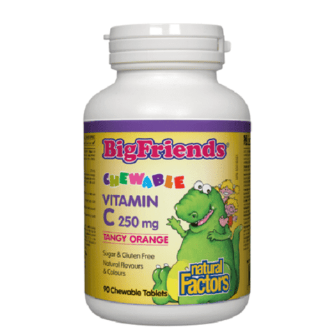 Expires March 2024 Clearance Natural Factors Big Friends Chewable Vitamin C 250mg Tangy Orange 90 Chews - YesWellness.com