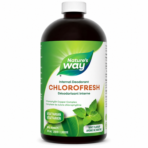 Nature's Way Internal Deodorant Chlorofresh Chlorophyllin Copper Complex Liquid 474mL