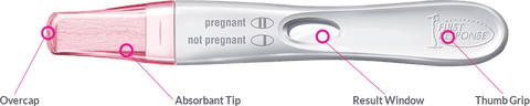 First Response Rapid Result Pregnancy Test 1 Count - YesWellness.com