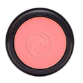 Gabriel Cosmetics Apricot Powder Blush 3 g - YesWellness.com