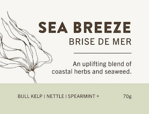 Harmonic Arts Artisan Tea Sea Breeze (Formerly Green Qi) - YesWellness.com