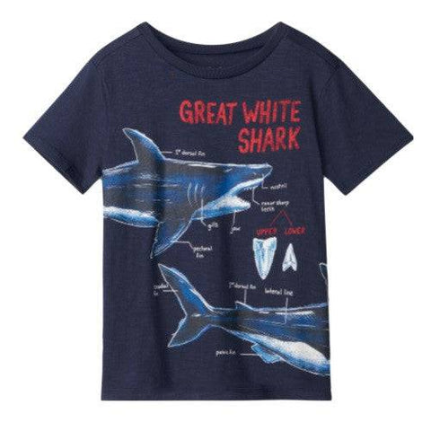 Hatley Boy's Great White Shark Graphic Tee - YesWellness.com