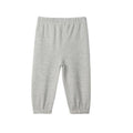 Hatley Boy's Grey French Terry Baby Joggers - YesWellness.com