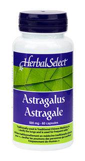 Herbal Select Astragalus 60 capsules - YesWellness.com