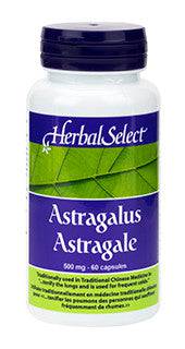 Expires January 2026 Clearance Herbal Select Astragalus 60 Capsules