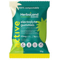 Expires December 2025 Clearance Herbaland Active Electrolyte Gummies Pina Colada Flavour 50g