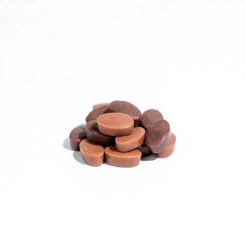 Herbaland Vegan Protein Gummies Wild Berry - YesWellness.com