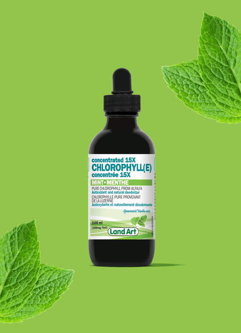 Land Art Concentrated 15X Chlorophyll Mint 100mL - YesWellness.com