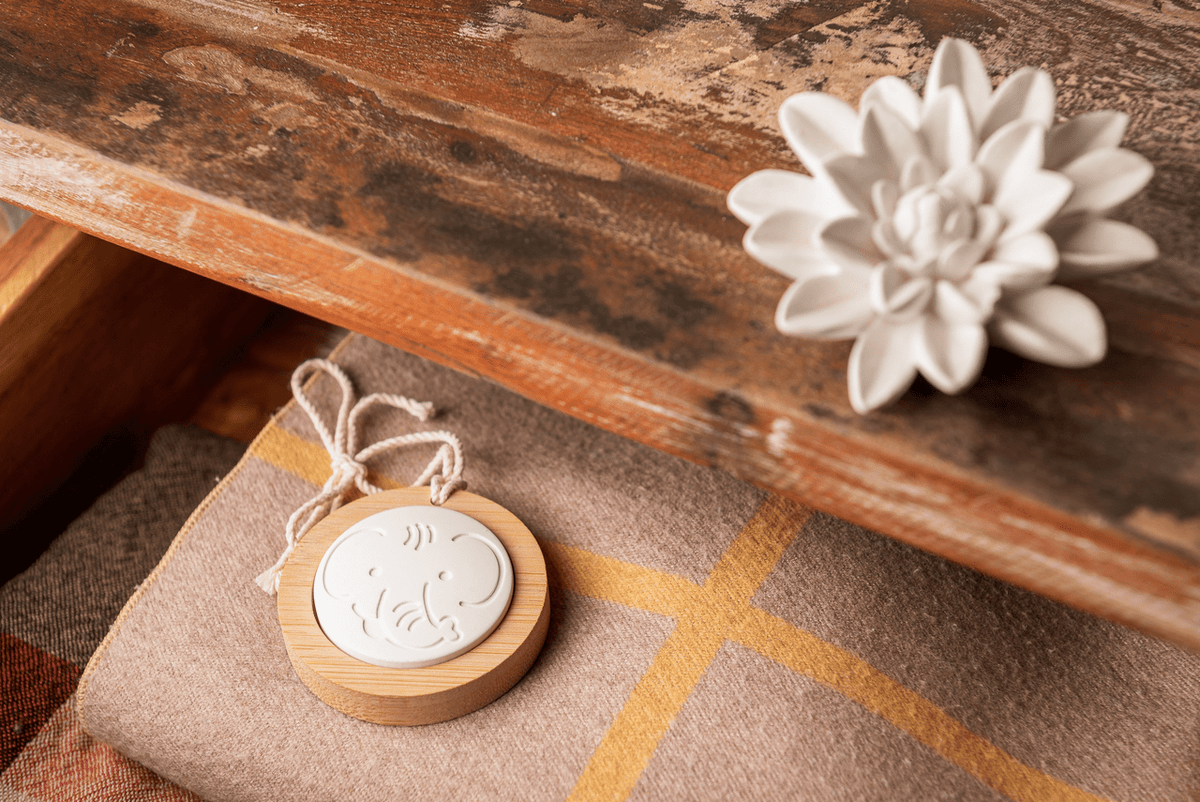 Le Comptoir Aroma Safari Pebble Diffuser Stones - Box of 3