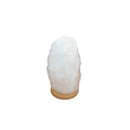 Lumiere de Sel White Himalayan Salt USB Computer Lamp and Night Light Natural Shape - YesWellness.com