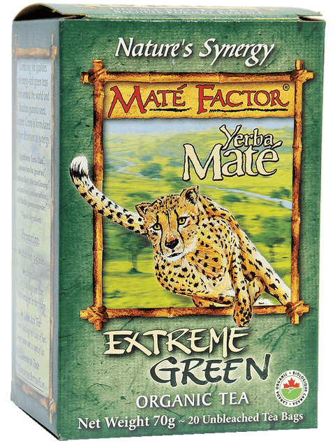 Mate Factor Yerba Mate Organic Extreme Green Tea Bags - 20 Tea Bags - YesWellness.com