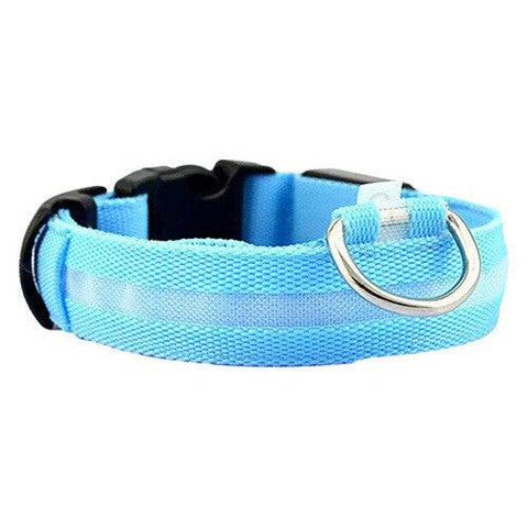 Nack Nax LED Dog Collar - Blue - YesWellness.com