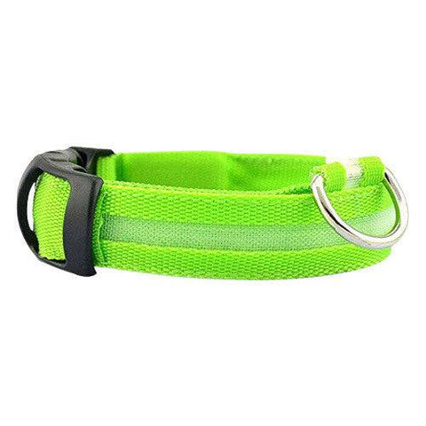 Nack Nax LED Dog Collar - Green - YesWellness.com