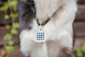 The Natural Patch Pet Locket