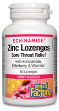 Natural Factors Echinamaide Zinc Lozenges 60 Lozenges - YesWellness.com