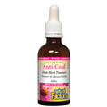 Expires June 2024 Clearance Natural Factors Echinamide Anti-Cold Fresh Herb Standardized Tincture 50mL - YesWellness.com