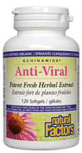 Natural Factors Echinamide Anti-Viral Potent Fresh Herbal Extract - YesWellness.com