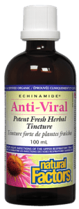 Natural Factors Echinamide Anti-Viral Potent Fresh Herbal Tincture - YesWellness.com