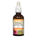 Expires December 2025 Clearance Natural Factors ECHINAMIDE Echinacea & Goldenseal Tincture 50 mL